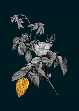 Teal and Gold Apple Rose