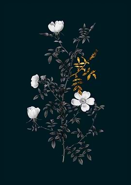 Teal and Gold Hedge Rose