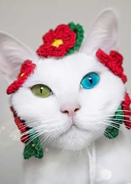cat with red flower