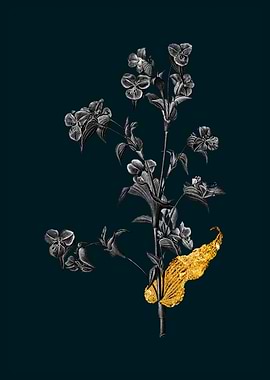 Teal and Gold Commelina