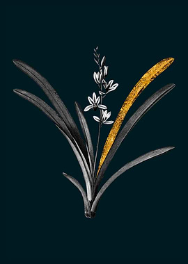 Teal and Gold Boat Orchid