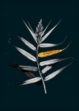 Teal and Gold Bush Cane