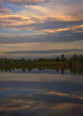 On the shore of the lake
