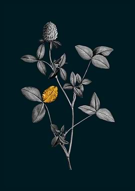 Teal and Gold Pink Clover