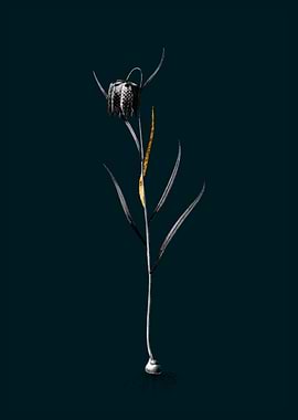 Teal and Gold Chess Flower