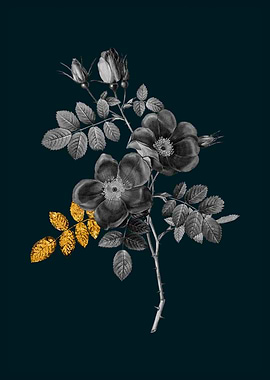 Teal and Gold Briar Rose