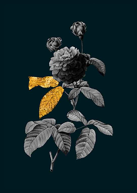 Teal and Gold Agatha Rose