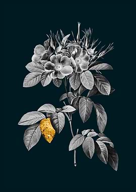 Teal and Gold Pasture Rose