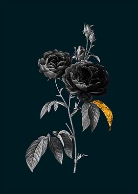 Teal and Gold Purple Roses