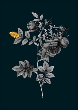 Teal and Gold Turnip Roses