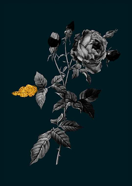 Teal Gold Provence Rose