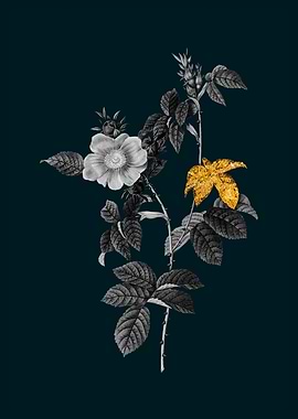 Teal and Gold Dog Rose