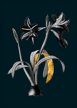 Teal and Gold Amaryllis