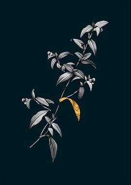 Teal and Gold Dayflower