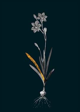 Teal and Gold Coppertips