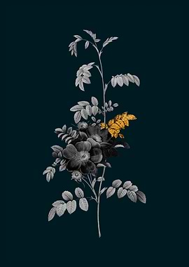 Teal and Gold Alpine Rose