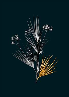 Teal and Gold Blue Stars