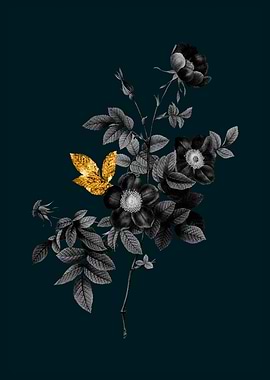 Teal and Gold Damask Rose