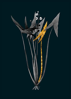 Teal and Gold Arrowhead