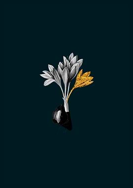 Teal and Gold Crocus