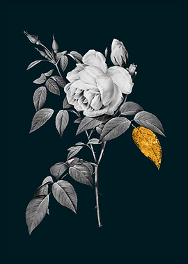 Teal and Gold Rosebush