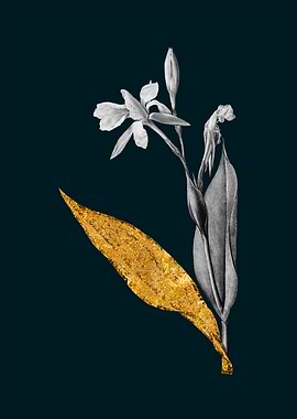 Teal and Gold Bandana