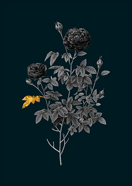 Teal and Gold Cabbage Rose