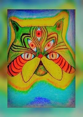 strange cat in summer