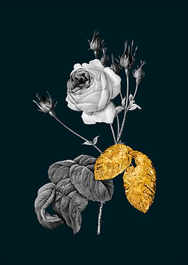 Teal and Gold Cabbage Rose