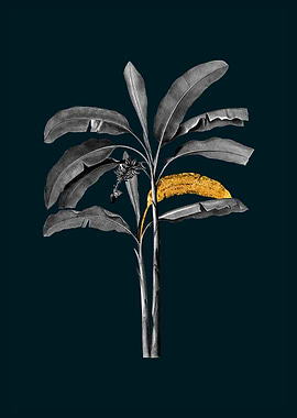 Teal and Gold Banana Tree