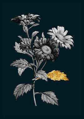 Teal and Gold Aster Flower