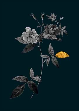 Teal and Gold Hudson Rose