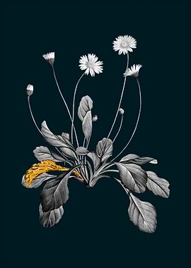 Teal and Gold Daisy Flower