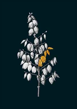 Teal and Gold Adam Needle