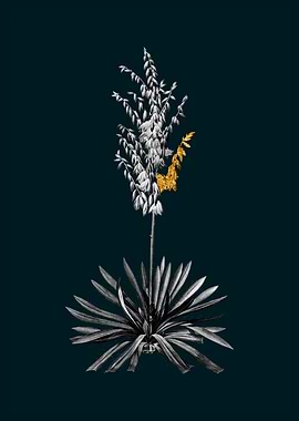 Teal and Gold Adam Needle