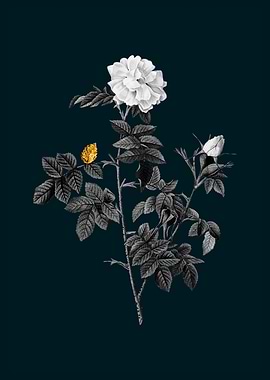 Teal and Gold Pink Roses