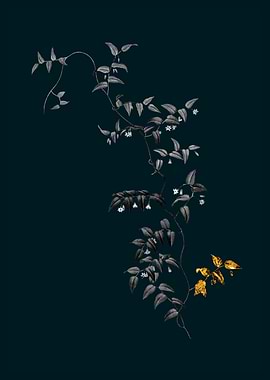 Teal Gold Bridal Creeper