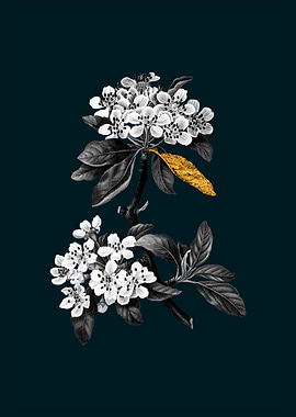 Teal and Gold Almond Pear