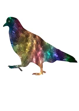 Space dove