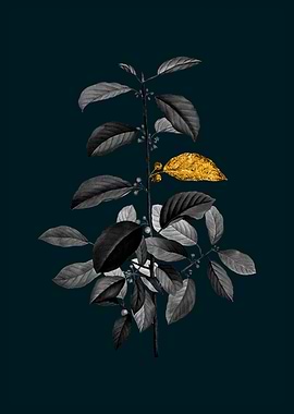 Teal and Gold Buckthorn