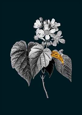 Teal and Gold African Hemp