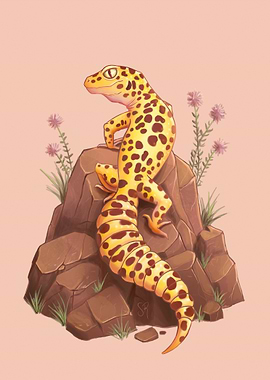 Leopard Gecko on the rock