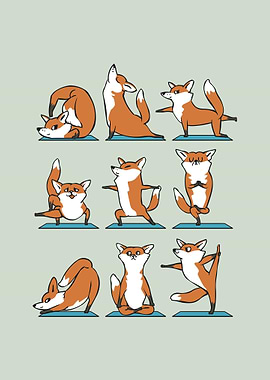 Fox Yoga