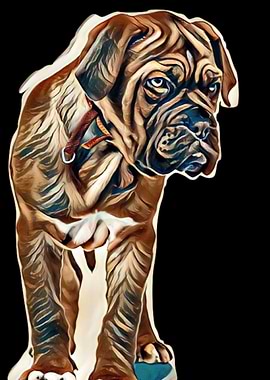 adorable animal away