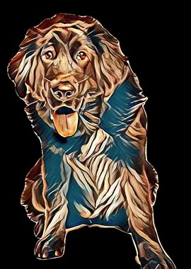 mastiff tibetan animal