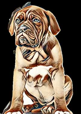 adorable animal baby