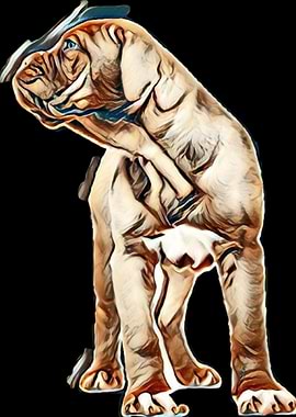 adorable animal baby