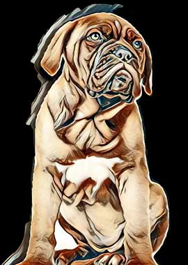 adorable animal away