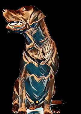 black labrador background