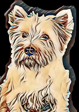 animal background black